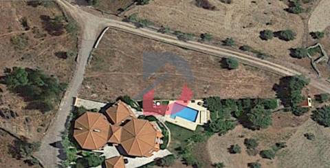 Lote de Terreno  Venda em Benquerenças,Castelo Branco