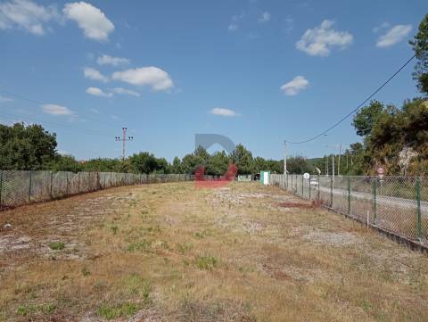 Terreno Urbano  Arrendamento em Castro Daire,Castro Daire