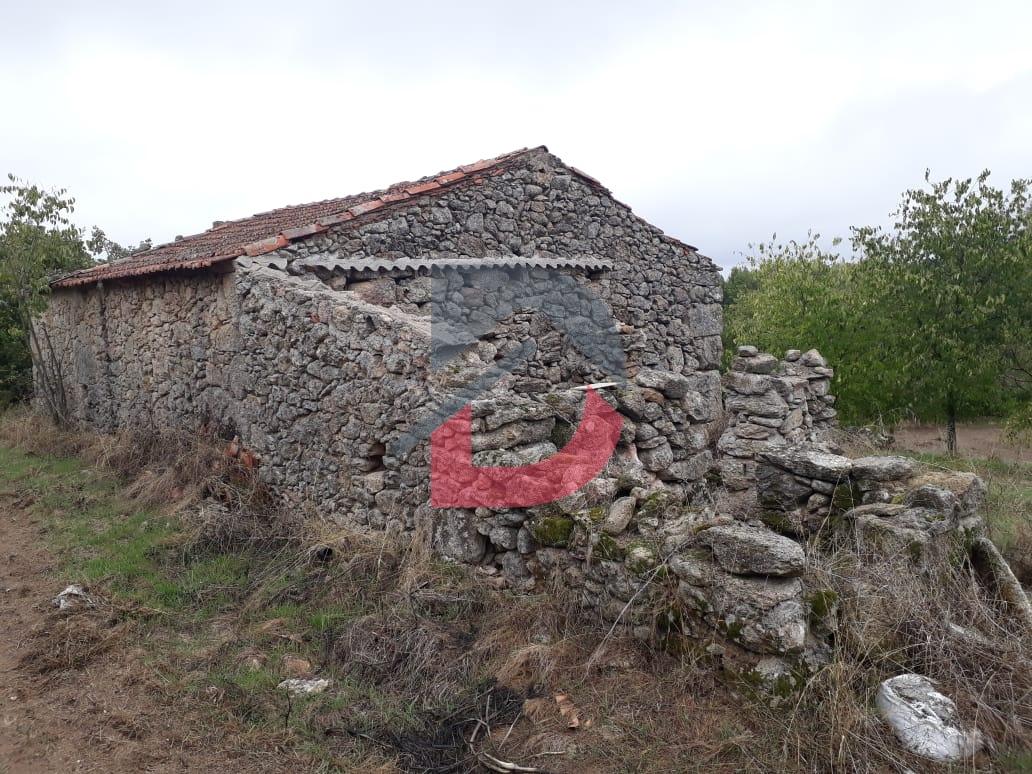 Terreno  Venda em Castelo Branco,Castelo Branco