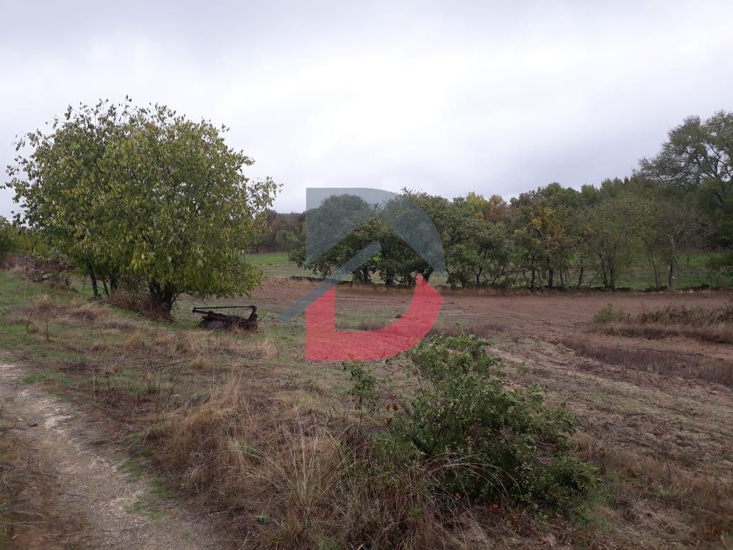 Terreno  Venda em Castelo Branco,Castelo Branco