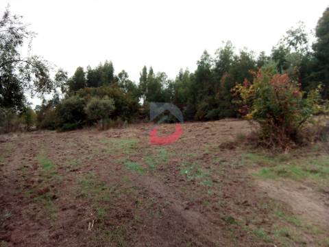 Terreno  Venda em Castelo Branco,Castelo Branco