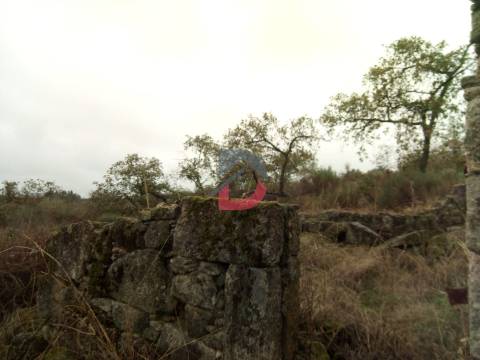Terreno  Venda em Castelo Branco,Castelo Branco