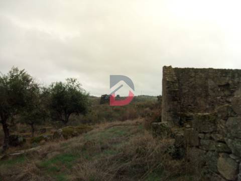 Terreno  Venda em Castelo Branco,Castelo Branco