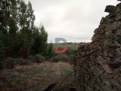 Terreno  Venda em Castelo Branco,Castelo Branco