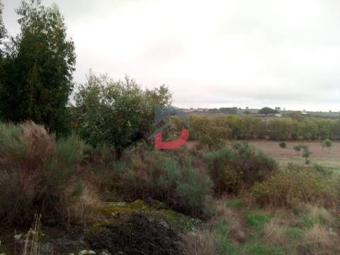 Terreno  Venda em Castelo Branco,Castelo Branco