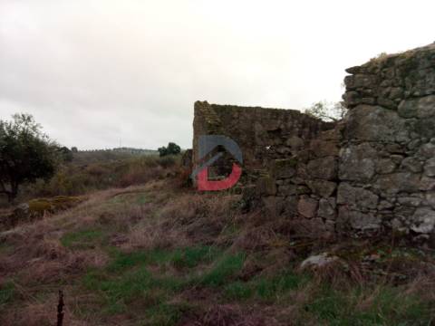 Terreno  Venda em Castelo Branco,Castelo Branco