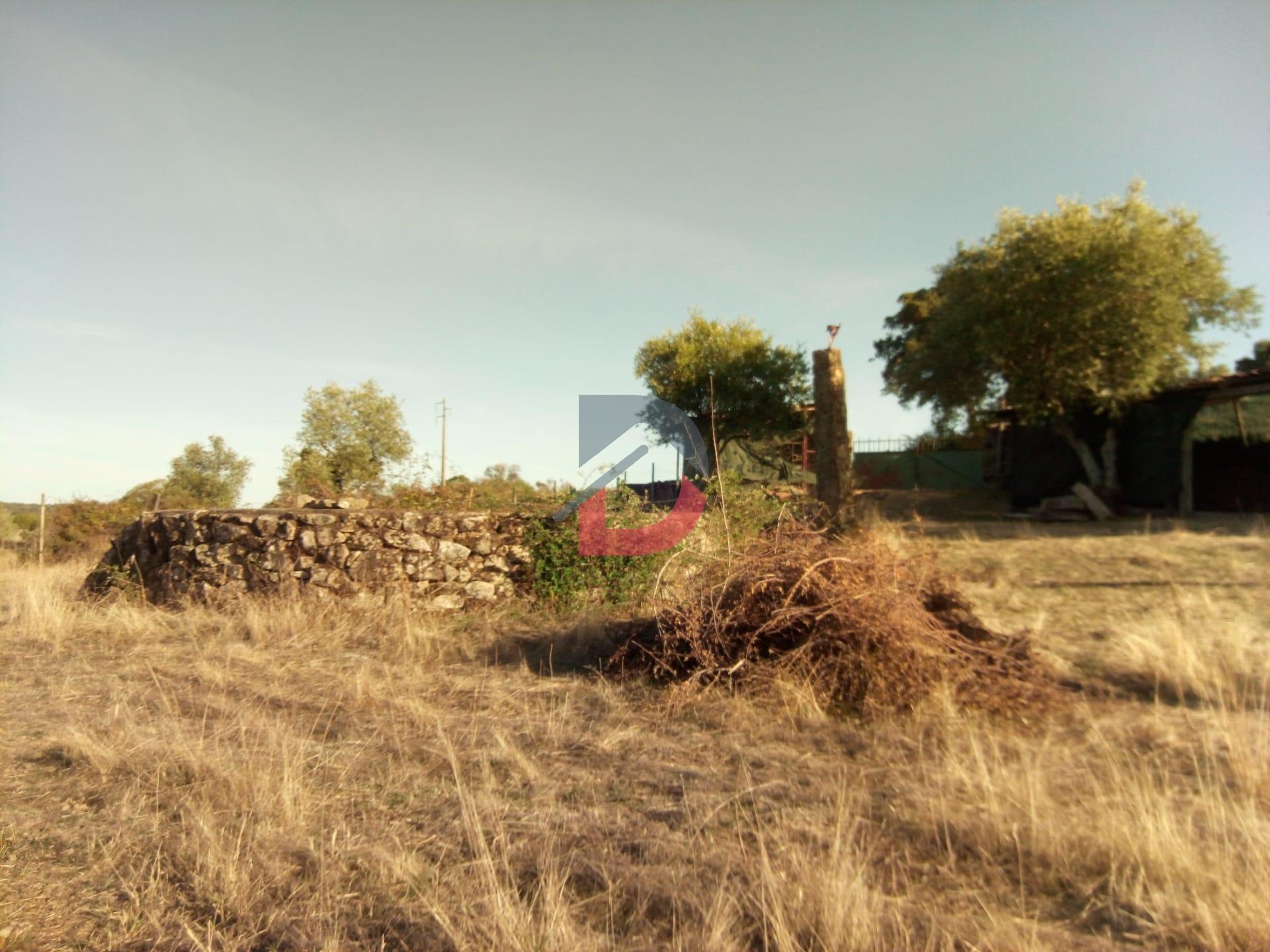 Terreno Rústico, 9250 m2