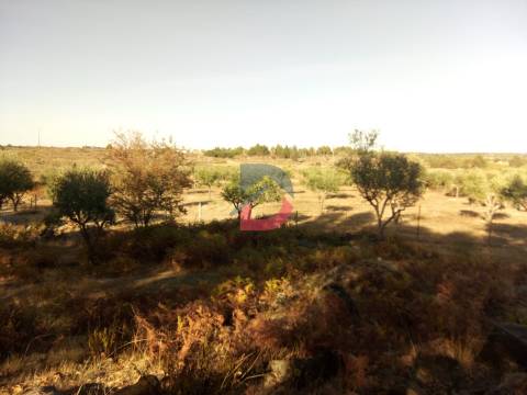 Terreno Rústico, 9250 m2