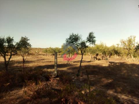 Terreno Rústico, 9250 m2