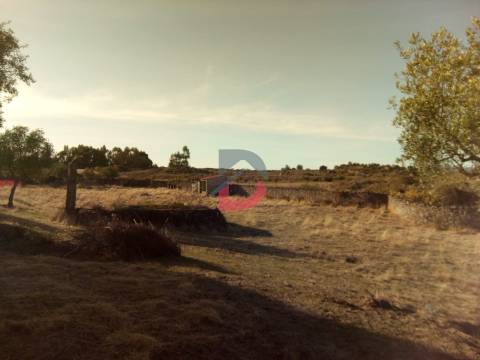 Terreno Rústico, 9250 m2