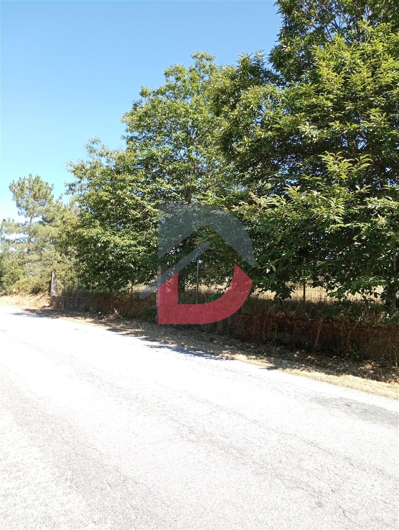 Terreno à venda em Ferreira de Aves - Sátão.