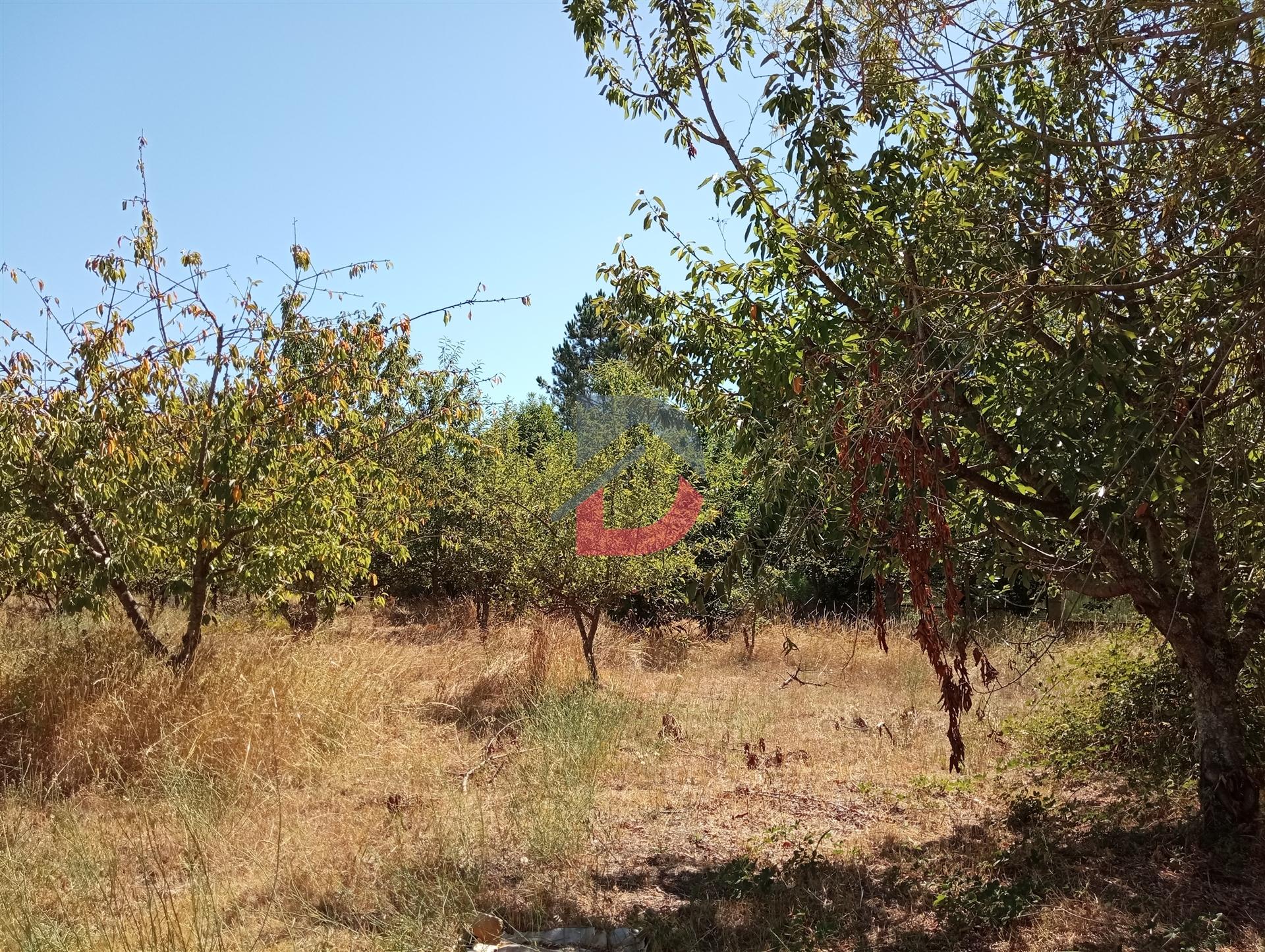 Terreno à venda em Ferreira de Aves - Sátão.