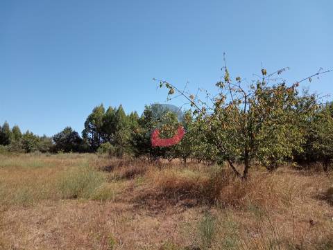 Terreno à venda em Ferreira de Aves - Sátão.