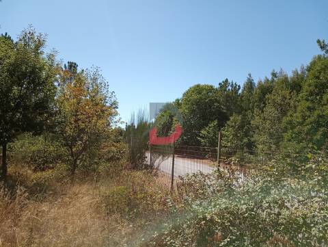 Terreno à venda em Ferreira de Aves - Sátão.