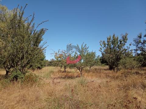 Terreno à venda em Ferreira de Aves - Sátão.