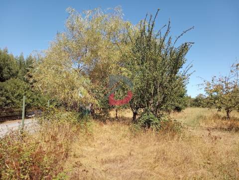 Terreno à venda em Ferreira de Aves - Sátão.