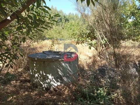 Terreno à venda em Ferreira de Aves - Sátão.