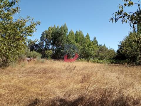 Terreno à venda em Ferreira de Aves - Sátão.