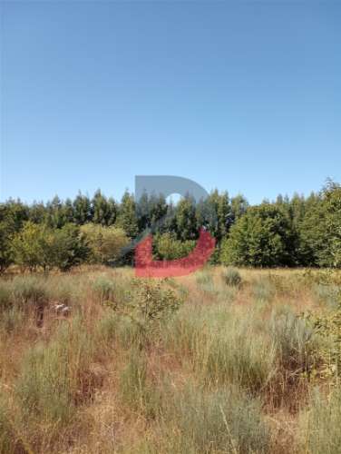 Terreno à venda em Ferreira de Aves - Sátão.