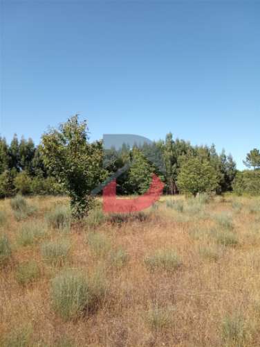 Terreno à venda em Ferreira de Aves - Sátão.