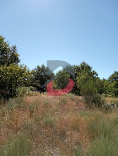 Terreno à venda em Ferreira de Aves - Sátão.