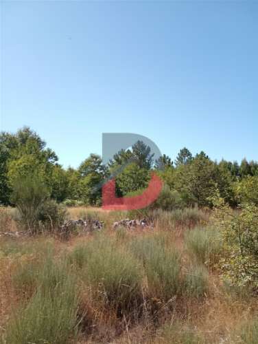 Terreno à venda em Ferreira de Aves - Sátão.