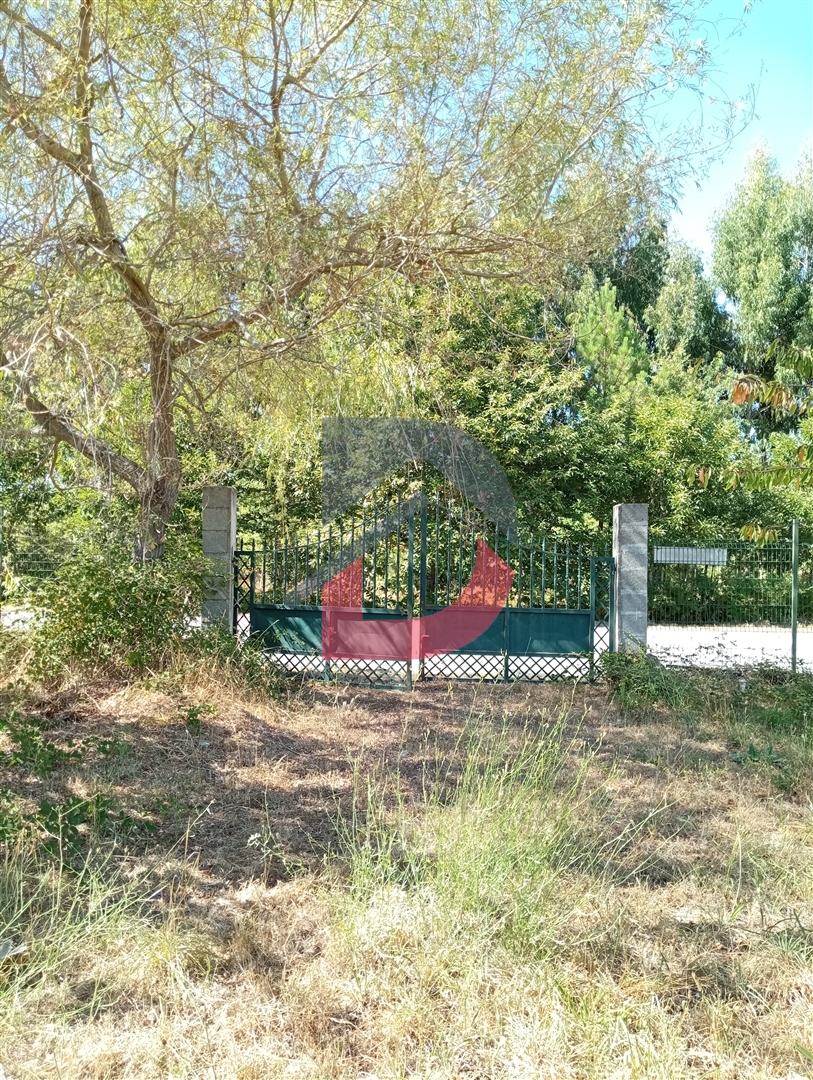 Terreno à venda em Ferreira de Aves - Sátão.