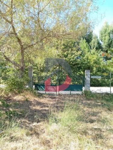 Terreno à venda em Ferreira de Aves - Sátão.
