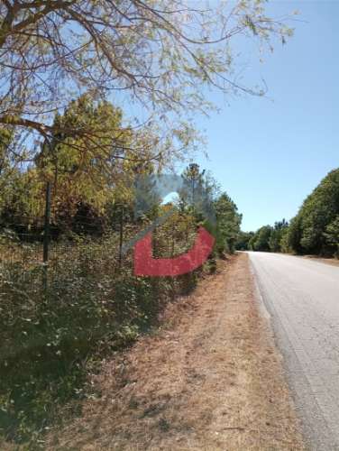 Terreno à venda em Ferreira de Aves - Sátão.