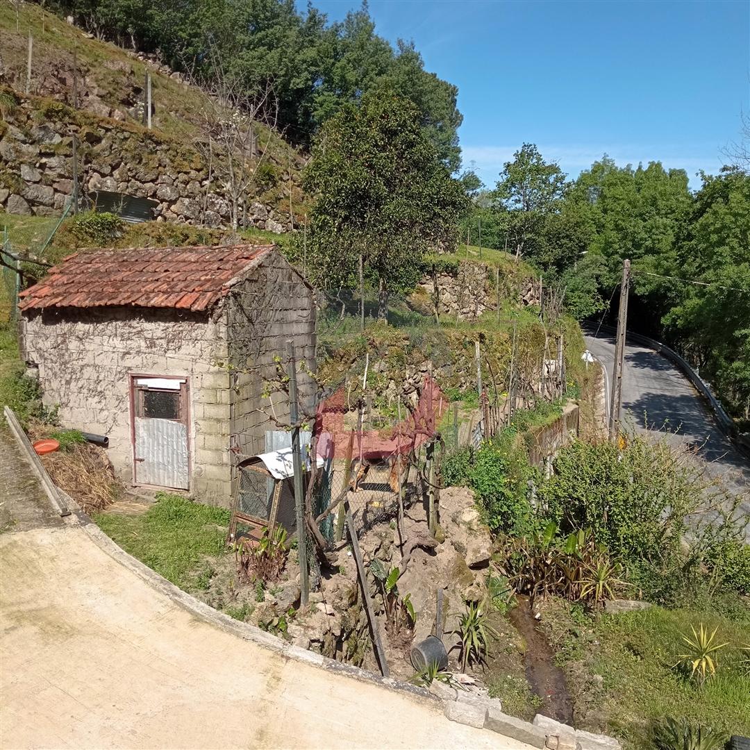 Terreno Rústico