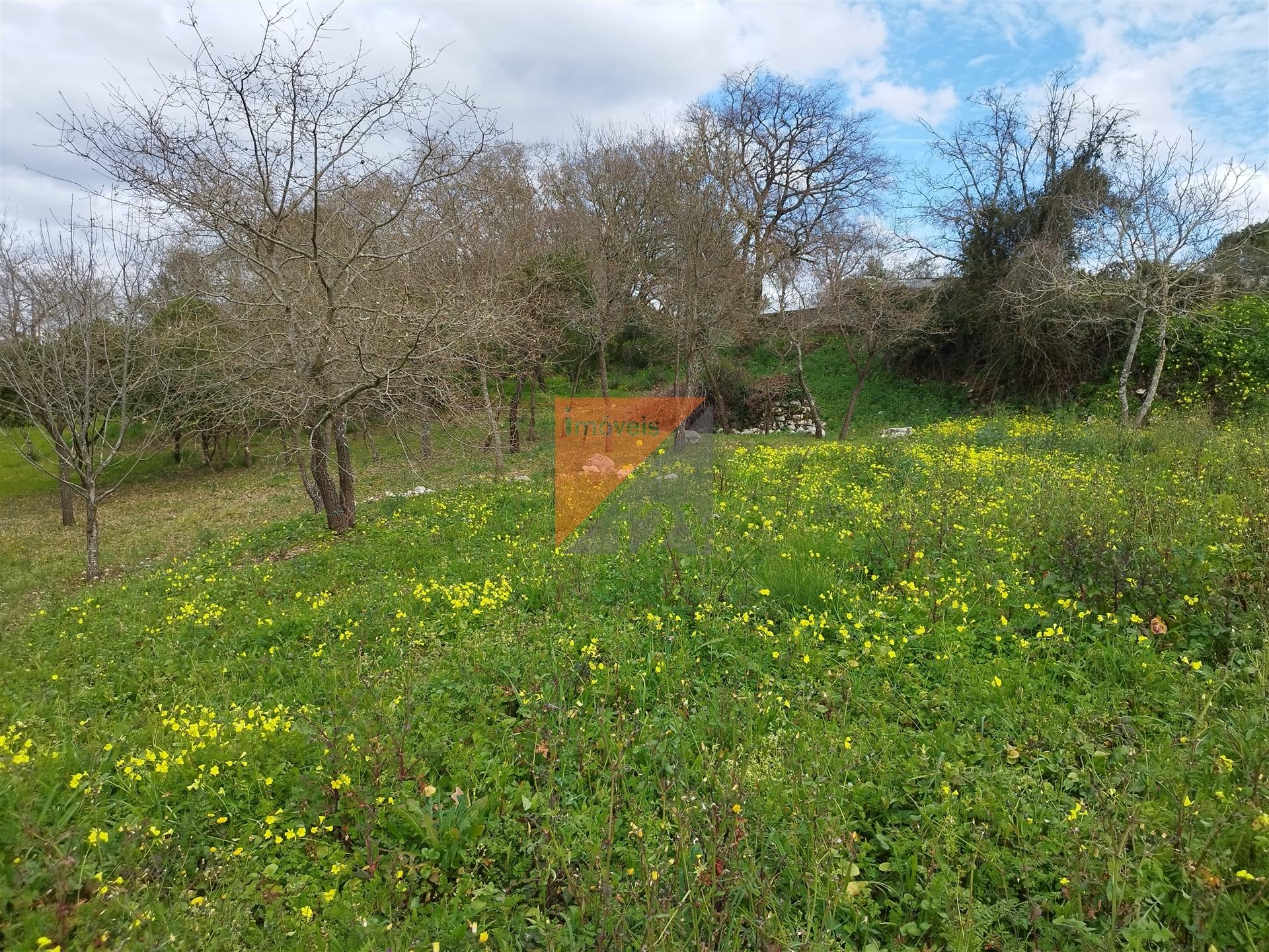 Terreno Urbano, Leiria, Leiria, Arrabal