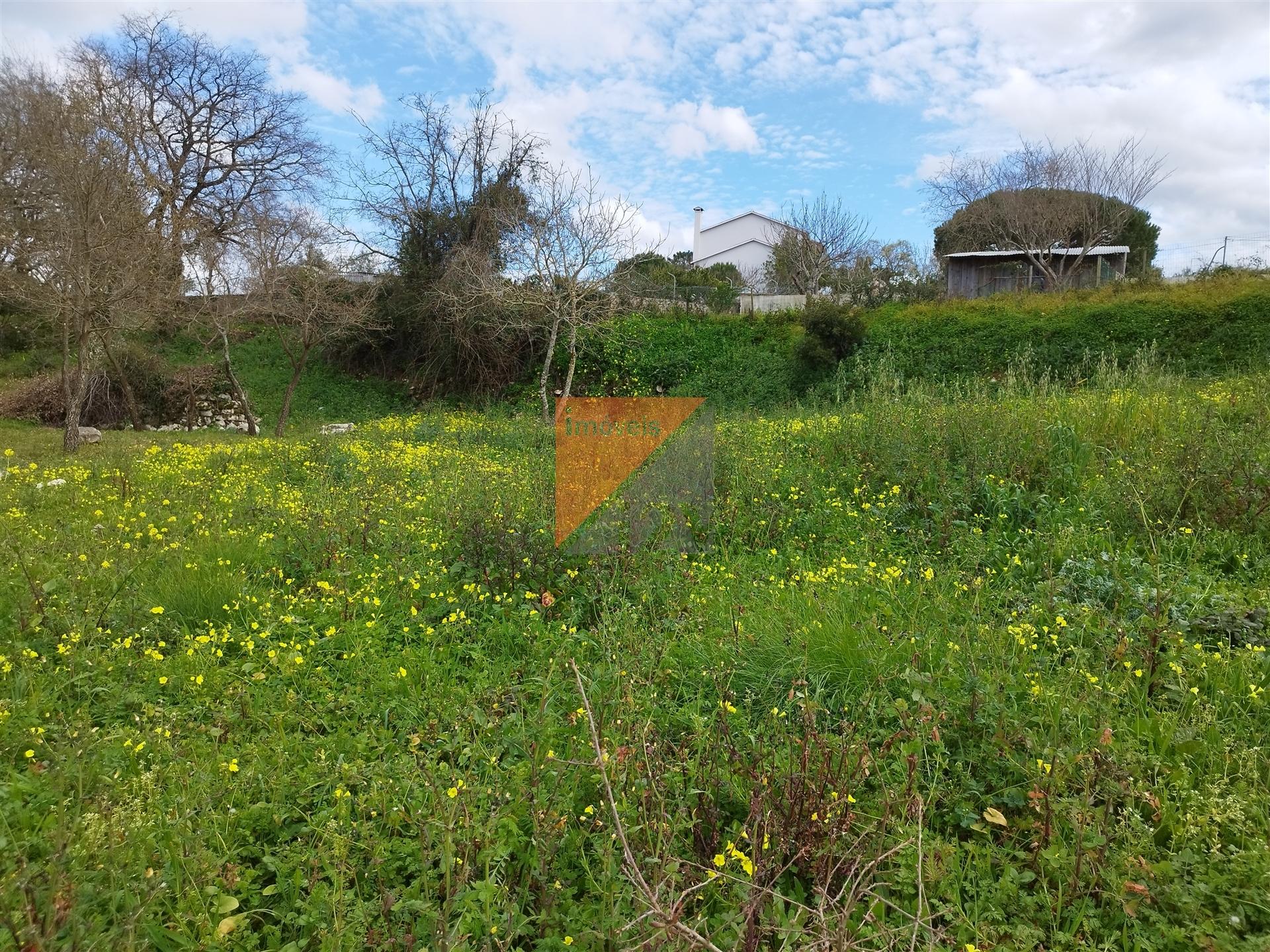 Terreno Urbano, Leiria, Leiria, Arrabal