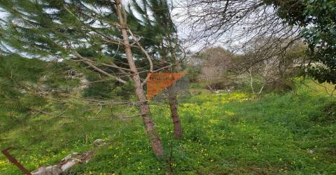 Terreno Urbano, Leiria, Leiria, Arrabal