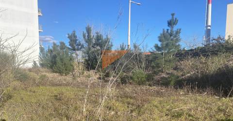 Terreno Para Construção  Venda em Pombal,Pombal
