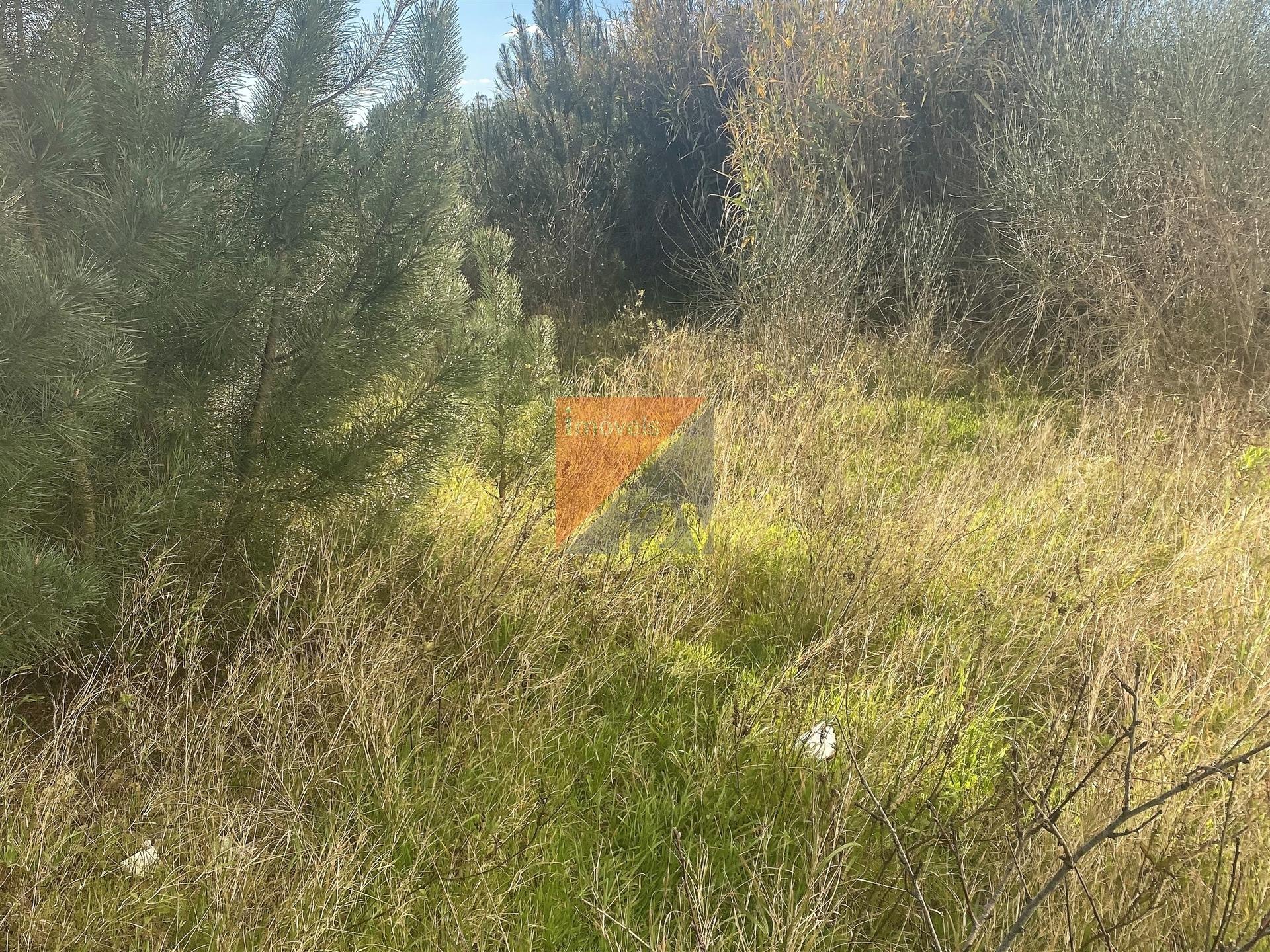 Terreno Para Construção  Venda em Pombal,Pombal