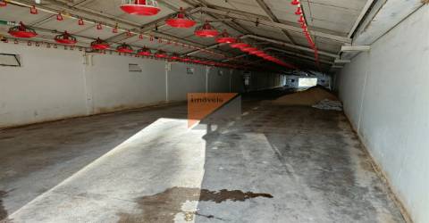 Quinta T5+2, Santarém, Ourém, Rio de Couros e Casal dos Bernardos