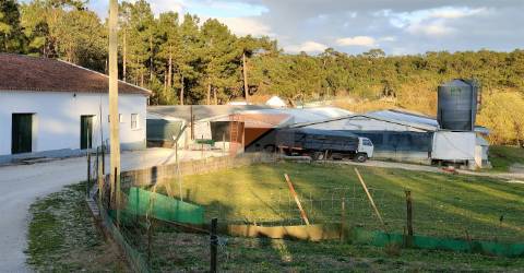 Quinta T5+2, Santarém, Ourém, Rio de Couros e Casal dos Bernardos