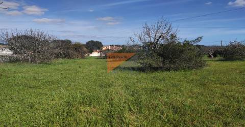 Terreno, Santarém, Tomar, Paialvo