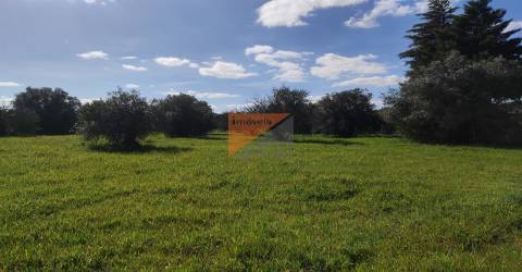 Terreno, Santarém, Tomar, Paialvo