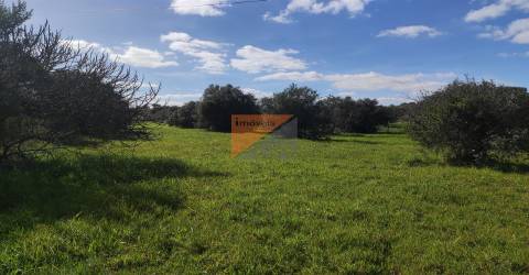 Terreno, Santarém, Tomar, Paialvo