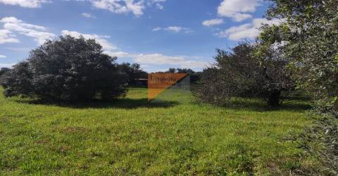 Terreno, Santarém, Tomar, Paialvo