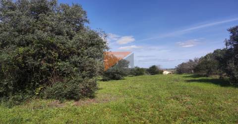 Terreno, Santarém, Tomar, Paialvo