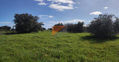 Terreno, Santarém, Tomar, Paialvo