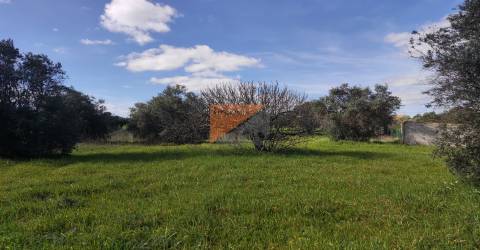 Terreno, Santarém, Tomar, Paialvo