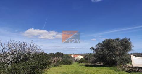 Terreno, Santarém, Tomar, Paialvo