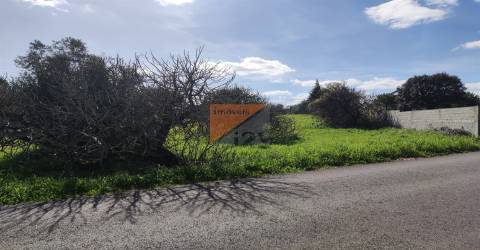 Terreno, Santarém, Tomar, Paialvo