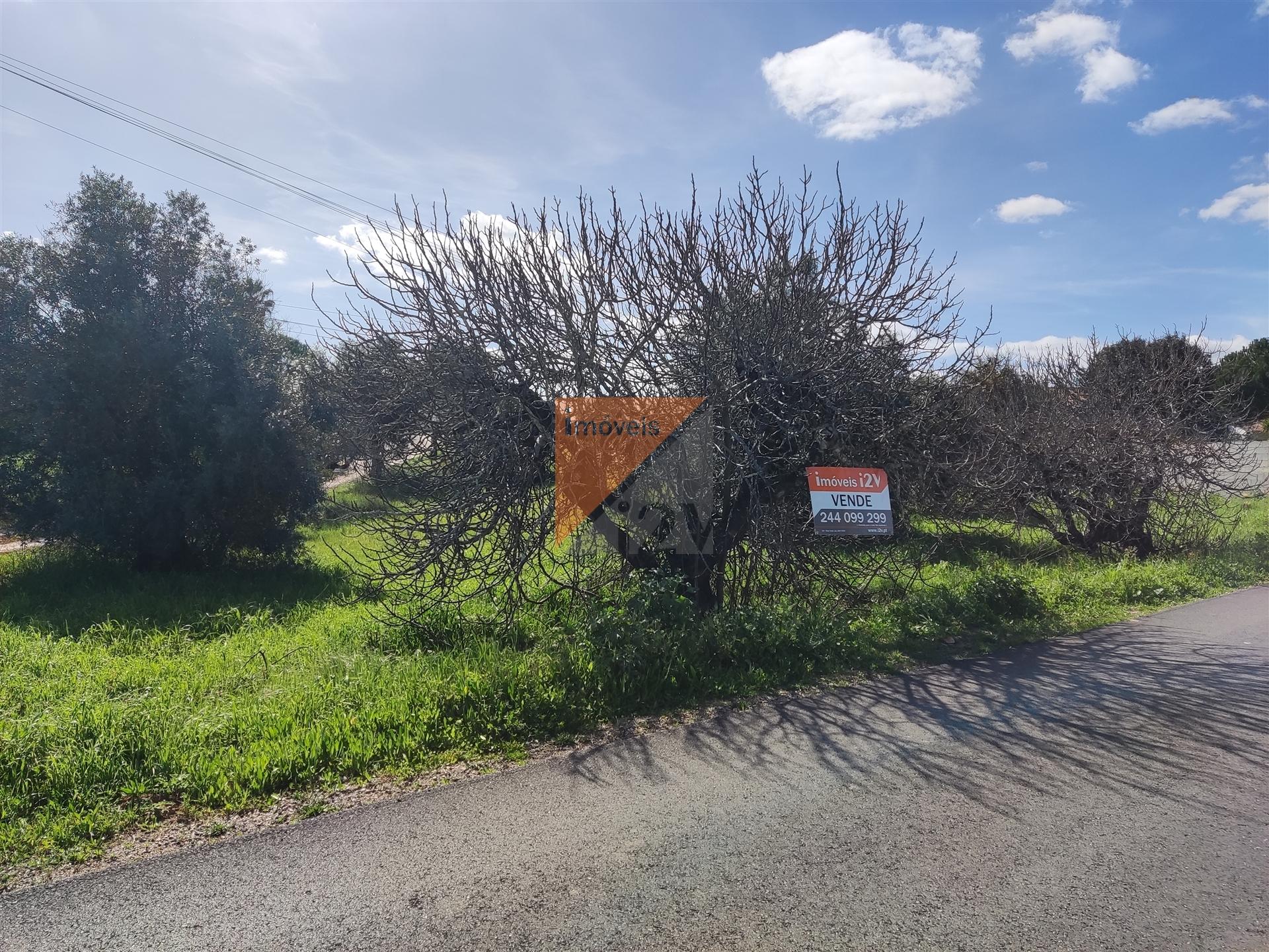 Terreno, Santarém, Tomar, Paialvo