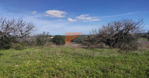 Terreno, Santarém, Tomar, Paialvo