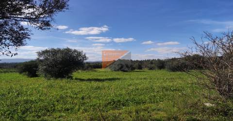 Terreno, Santarém, Tomar, Paialvo