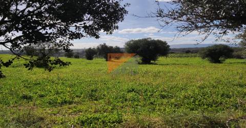 Terreno, Santarém, Tomar, Paialvo